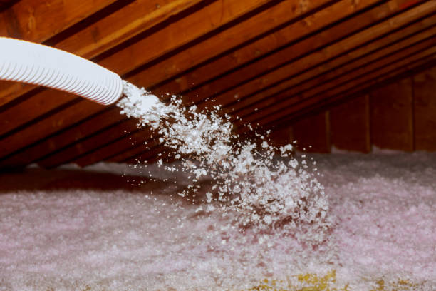 Best Insulation Installation Services in Blacksburg, SC