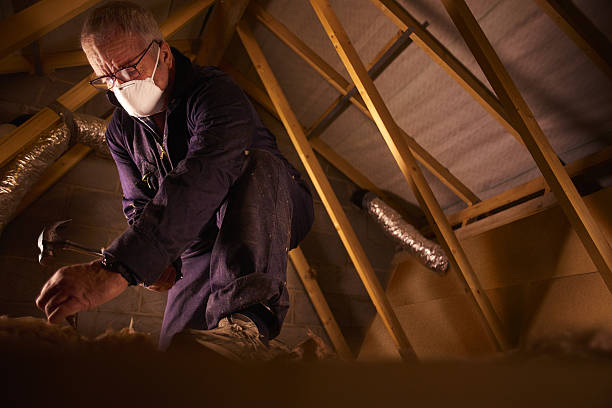 Best Insulation Maintenance and Repair in Blacksburg, SC